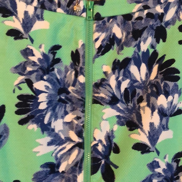 Fit to Flare J Crew Dress - Picture 9 of 16